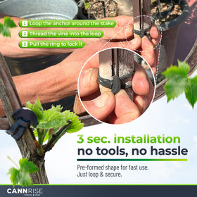 Cannrise loop-and-anchor design illustrated for quick installation during pruning