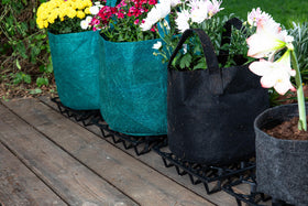 Cannrise Plant Riser drains excess water quickly for healthier soil.