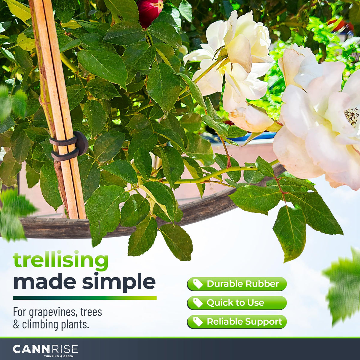 Cannrise rubber ties provide vine-support with UV protection for outdoor gardens