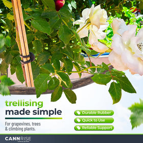 Cannrise rubber ties provide vine-support with UV protection for outdoor gardens