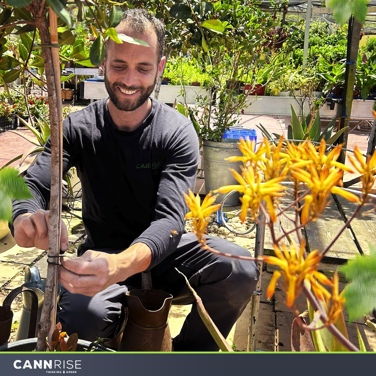 Cannrise soft garden band ideal for grapes, tomatoes, and climbers