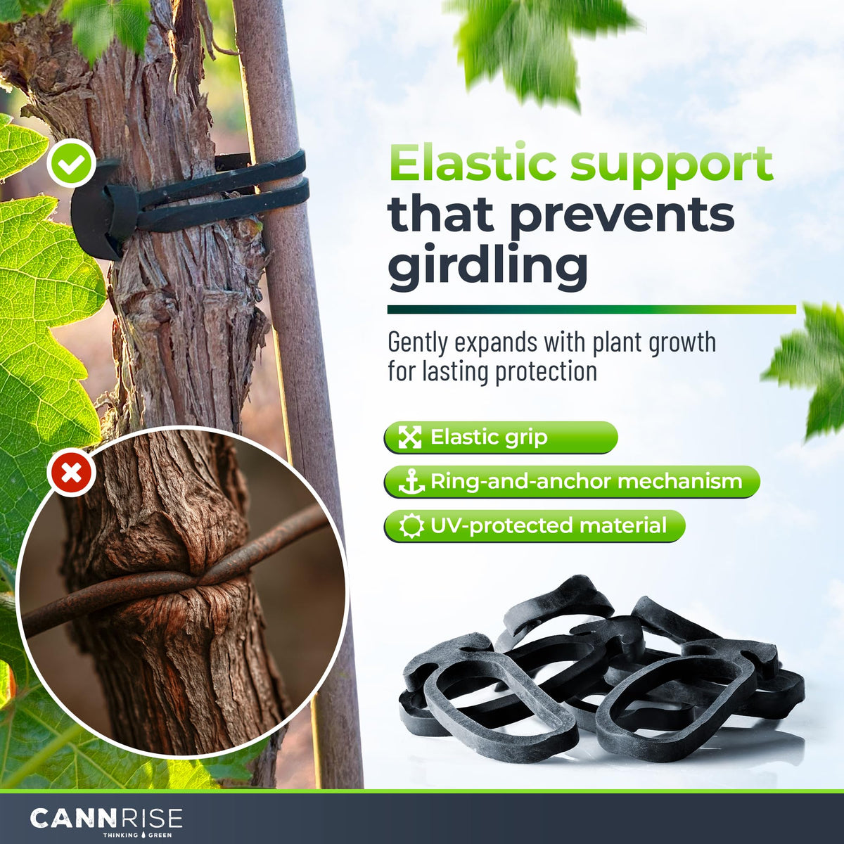 Cannrise UV-protected band shown in outdoor setup supports plants through sun and rain