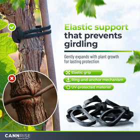Cannrise UV-protected band shown in outdoor setup supports plants through sun and rain