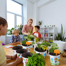 Capoda classroom activity kit supports hands-on learning in garden projects.