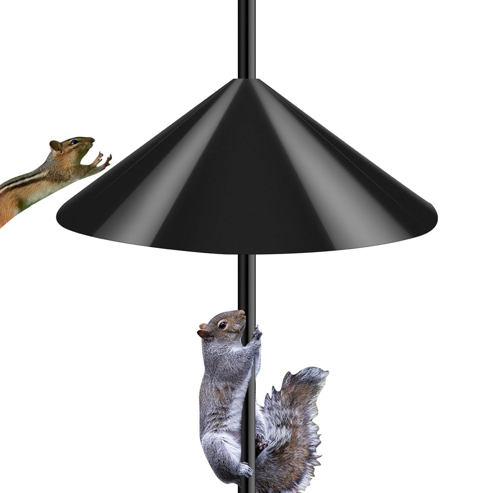 CAPOT Squirrel Baffle with 19-inch diameter protects feeders from pests
