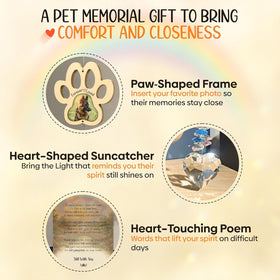 Captain Decor rainbow bridge window reflection evokes lasting love.