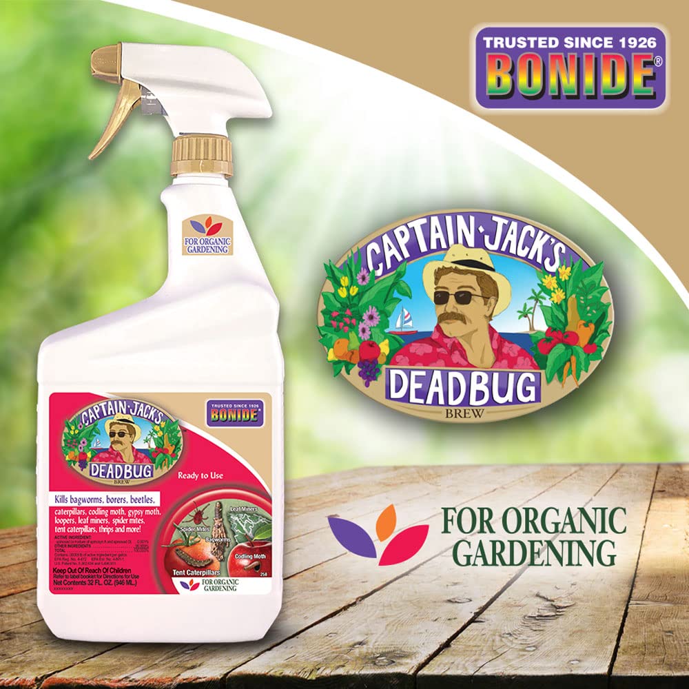 Captain Jack's Deadbug Brew on citrus leaves for pest control