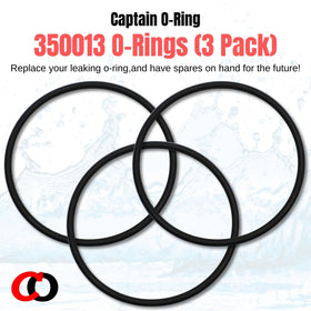 Captain O-Ring 350013 lid O-Ring close-up highlights material quality and sealing edge