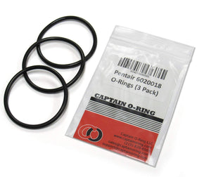 Captain O-Ring 6020018 close-up of the o-ring seal for pool pump repairs