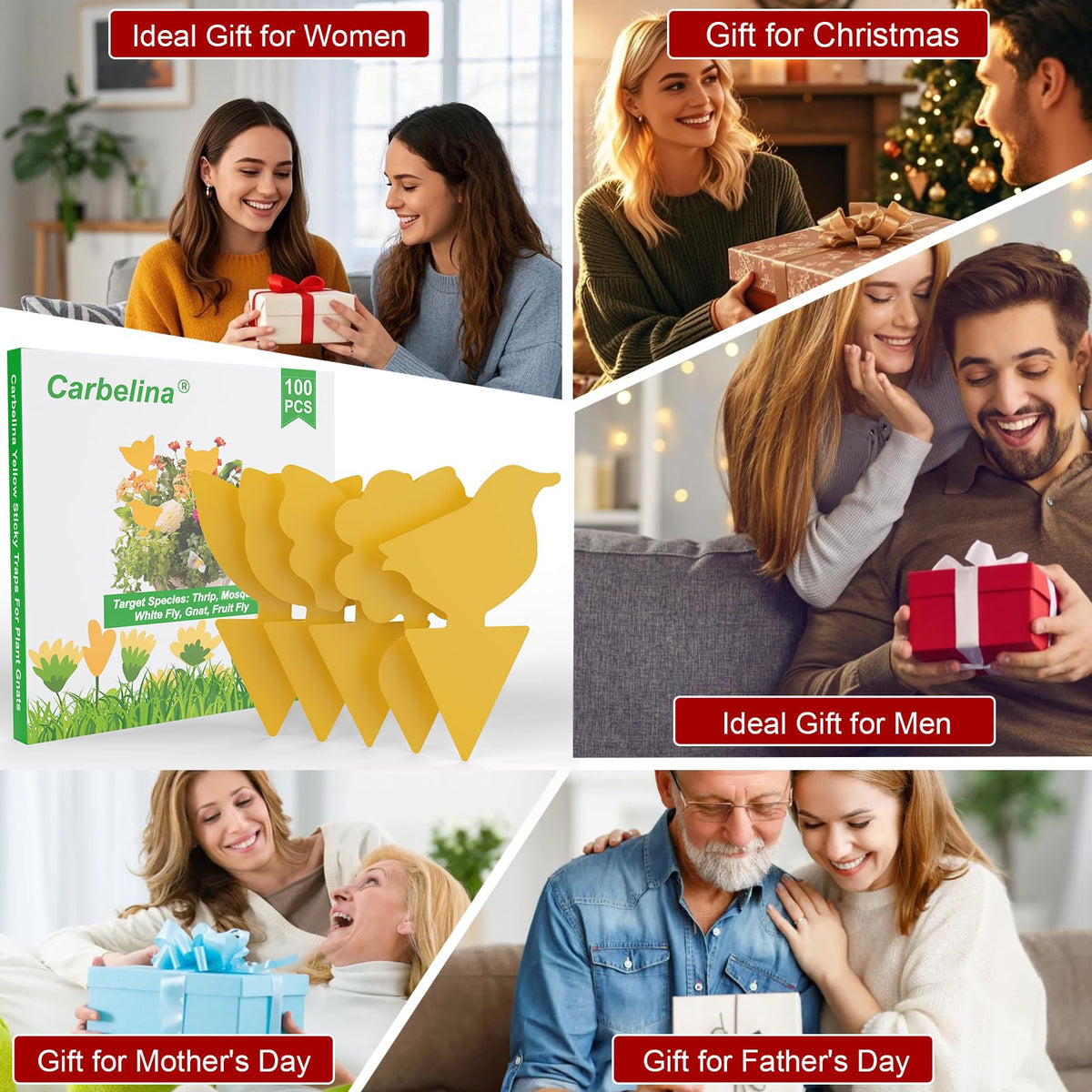 Carbelina 100pcs traps for indoors across a five-shape set.