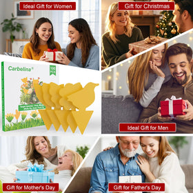 Carbelina 100pcs traps for indoors across a five-shape set.