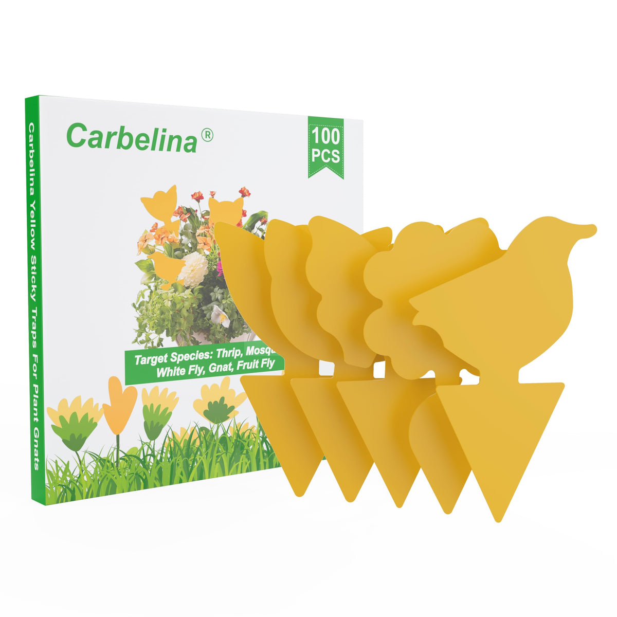 Carbelina indoor fruit fly traps in packaging, a 100-piece set for homes.