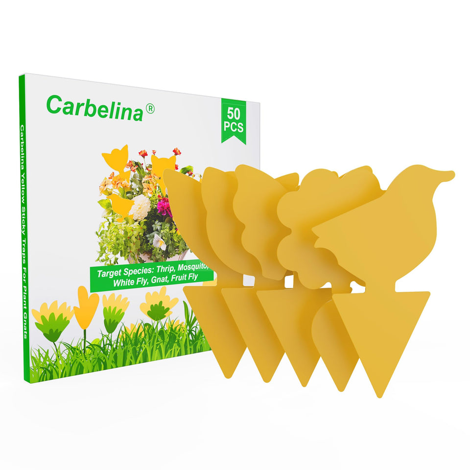 Carbelina gnat traps packaging for indoor use, 50-piece set.