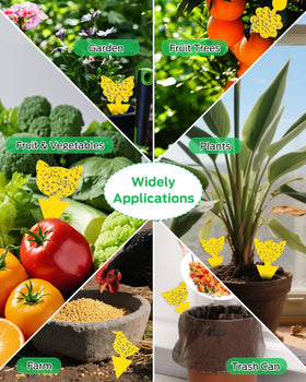 Carbelina odorless sticky traps designed for safe use around produce.