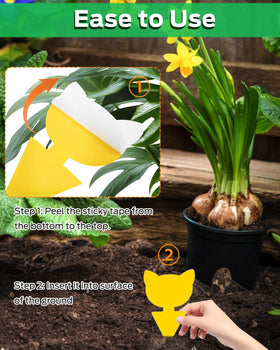 Carbelina waterproof and sunproof material ensures durability in varied environments.