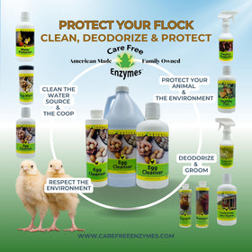 CareFree Enzymes farm egg cleaning scene shows practical, scalable cleaning.