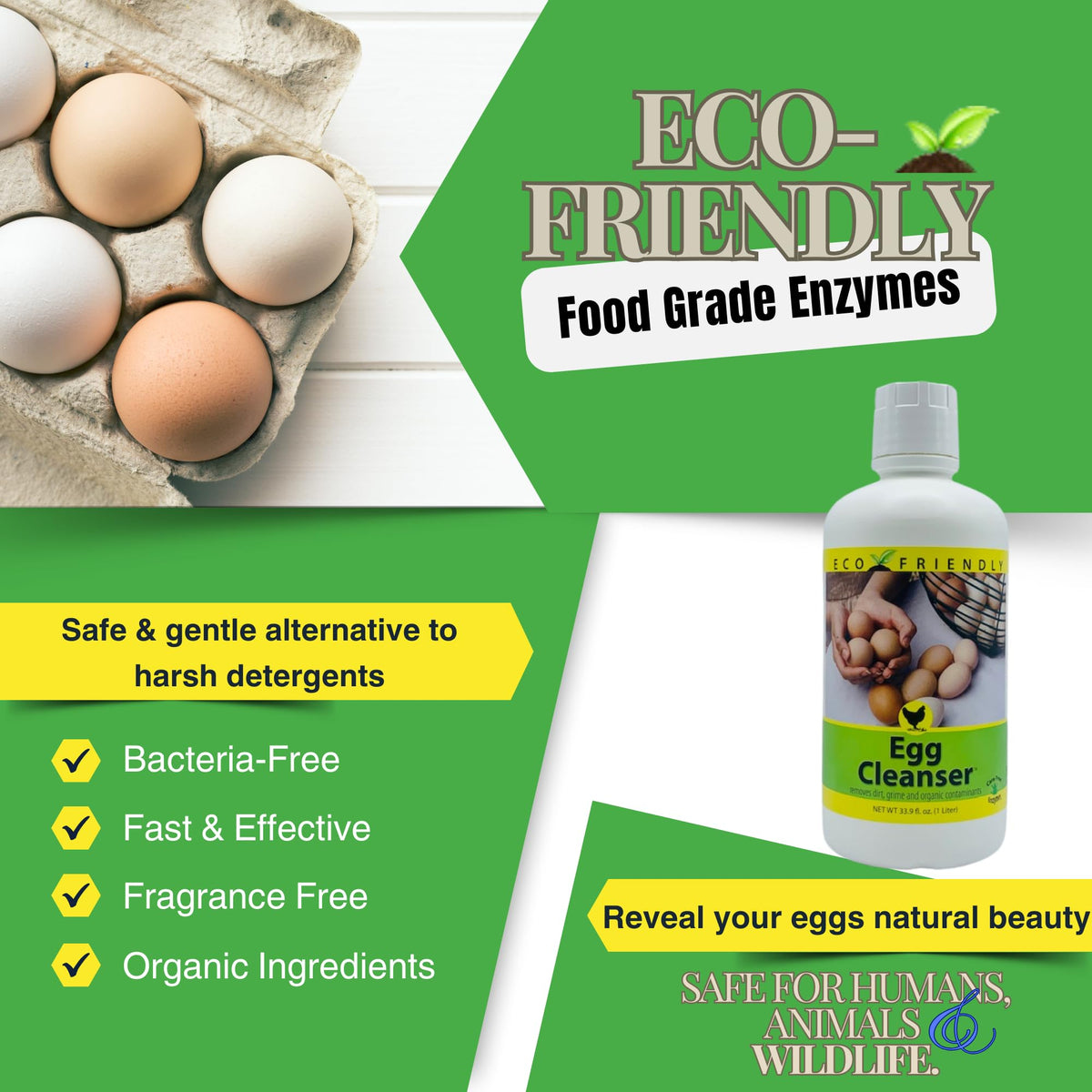 CareFree Enzymes made-in-usa badge signals local manufacturing quality.