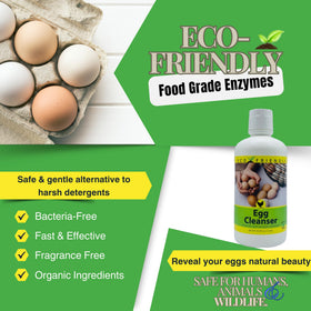CareFree Enzymes made-in-usa badge signals local manufacturing quality.
