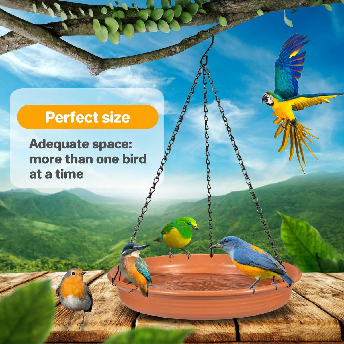 CARGEN bird water bowl and feeder provides versatile drinking and snacking.