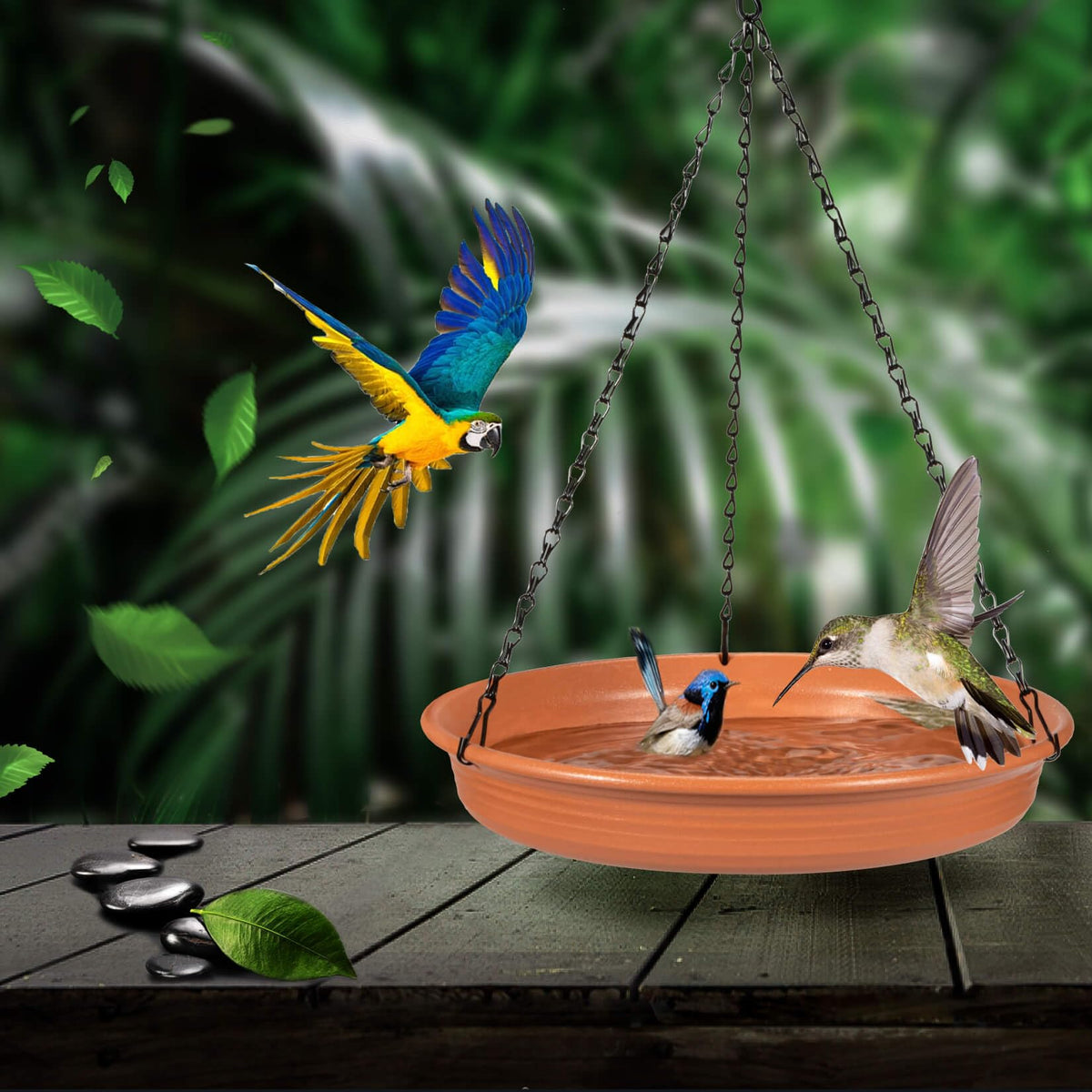 CARGEN easy-clean removable bowl simplifies maintenance after visits.