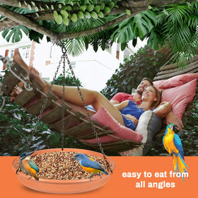 CARGEN outdoor garden feeder enhances yard wildlife viewing.