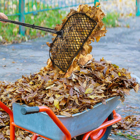 CAROD convenient storage and disassembly for compact shed space.