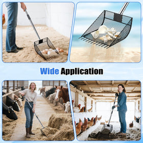 CAROD multi-use-sifter-shovel handles litter, feathers, sand, and more.