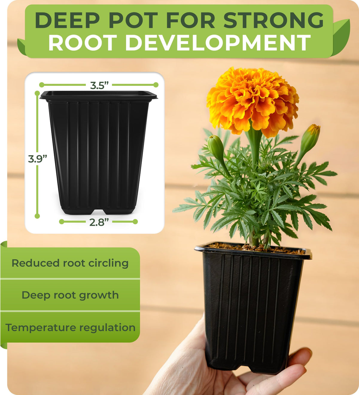 CARPATHEN seedling pots sized 3.5 inches compatible with 1020 trays
