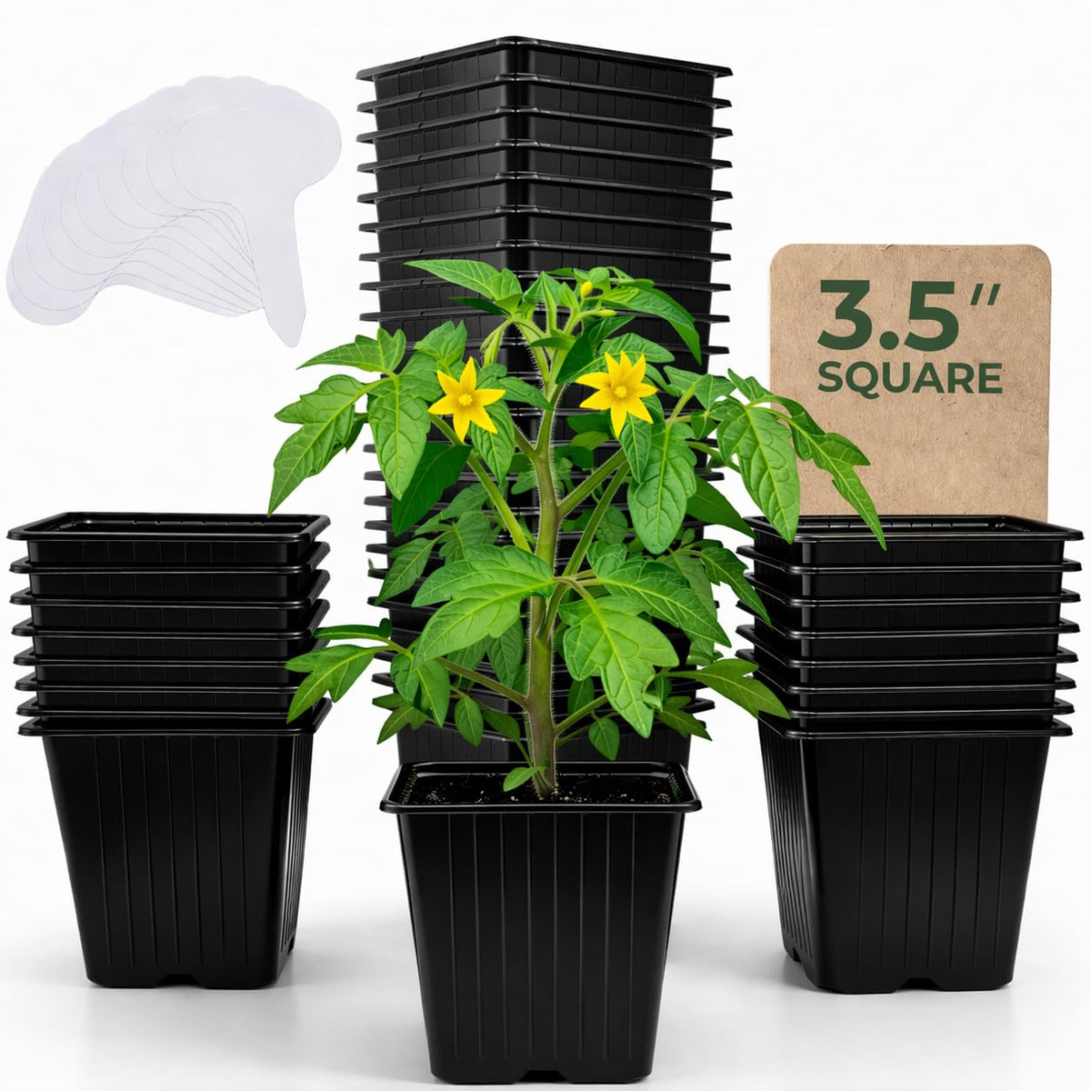 CARPATHEN 60-pack square nursery pots for seedling starters with drainage holes