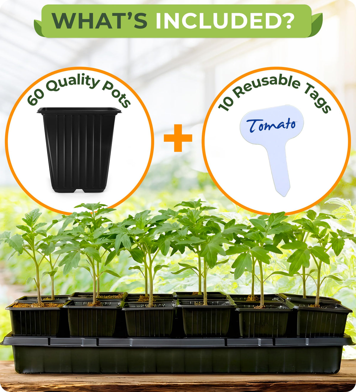 CARPATHEN CAL65-compliant thick plastic pots suitable for indoor and outdoor use