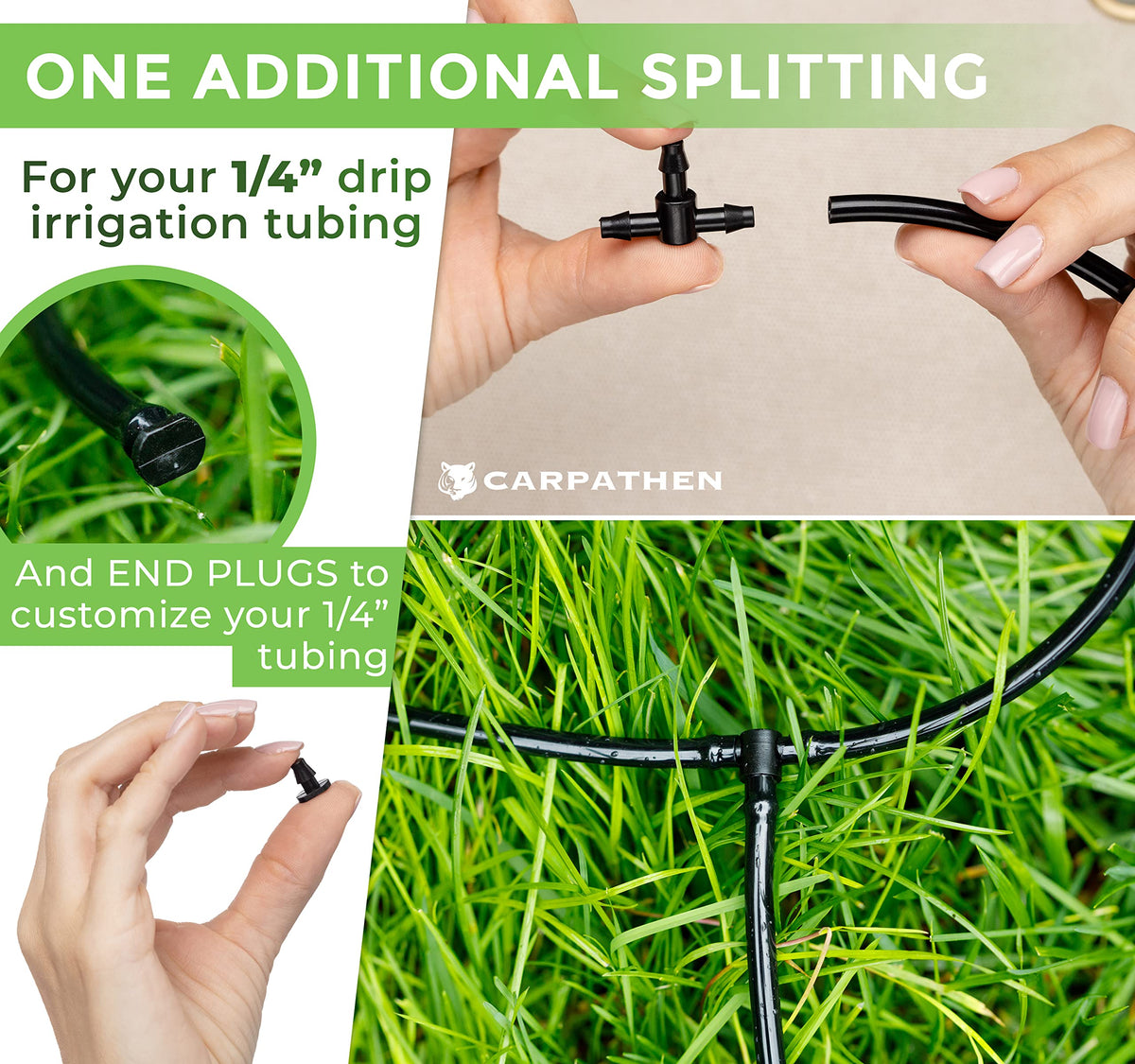 CARPATHEN digital guide offers practical tips for vegetables and fruits