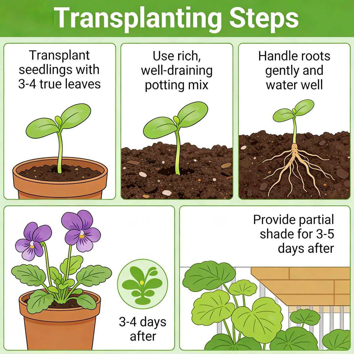 Carpet Creeping beginner-friendly seeds simplify native planting projects.