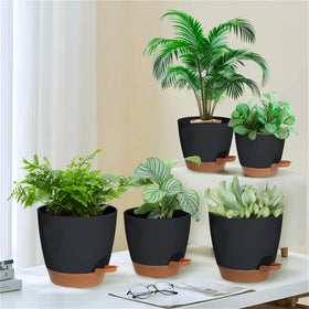 Carsapro 5-inch plant pot with tray elevating for air circulation.