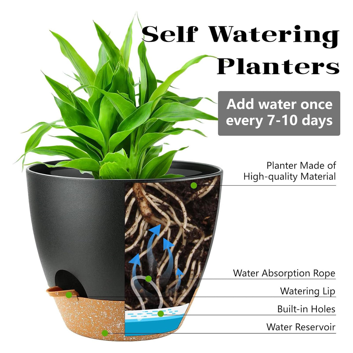 Carsapro 6-inch plant pot for indoor use with durable plastic and drainage.