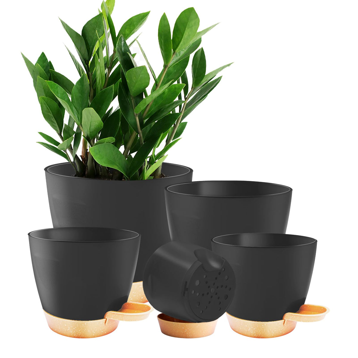 Carsapro 7-inch plant pot with drainage and self-watering design for healthy root growth.