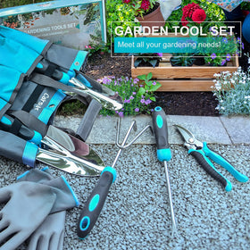 Carsolt one-year warranty and support for peace of mind