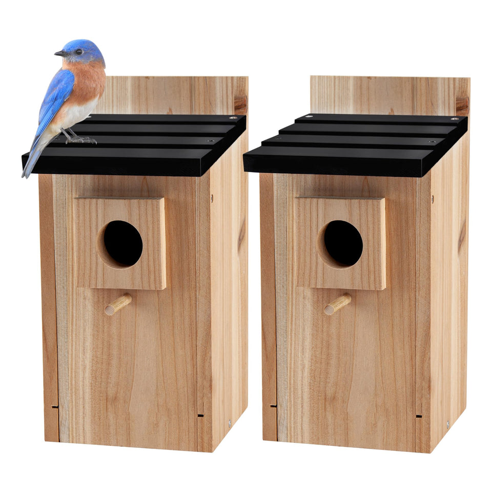 CARTMAN blue bird box house outdoor 2-pack invites songbirds to your garden.