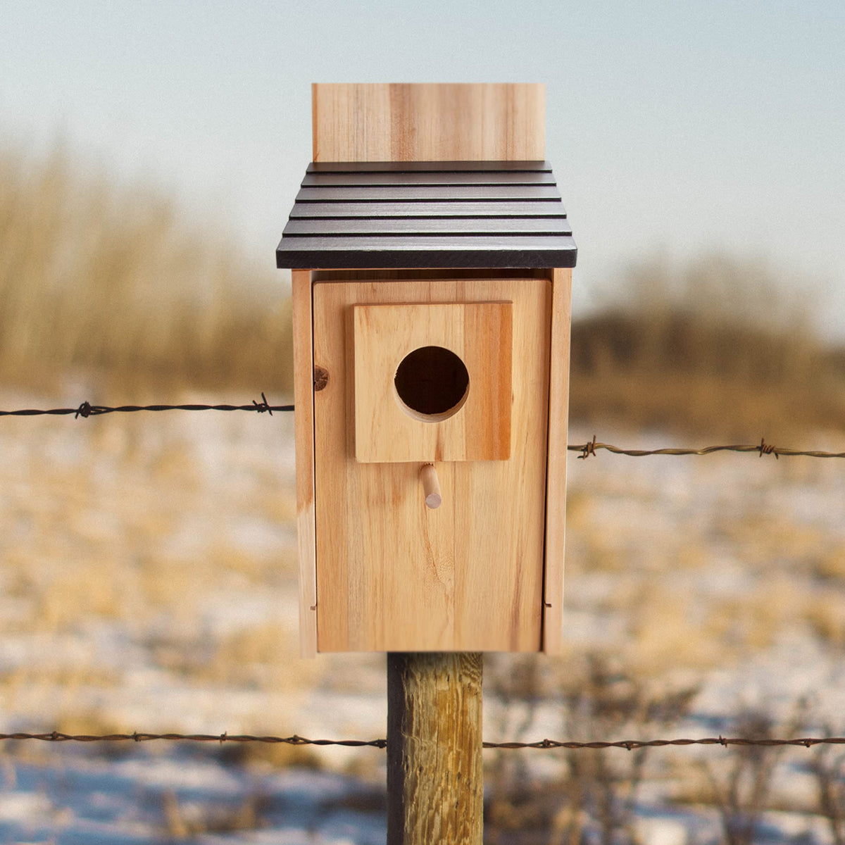 CARTMAN durable outdoor bird house for year-round use.