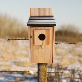 CARTMAN durable outdoor bird house for year-round use.