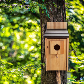 CARTMAN hummingbird house outdoor pole design for safe feeding.