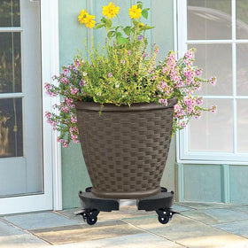 Casimr flower pot rack on wheels protects floors during relocation.