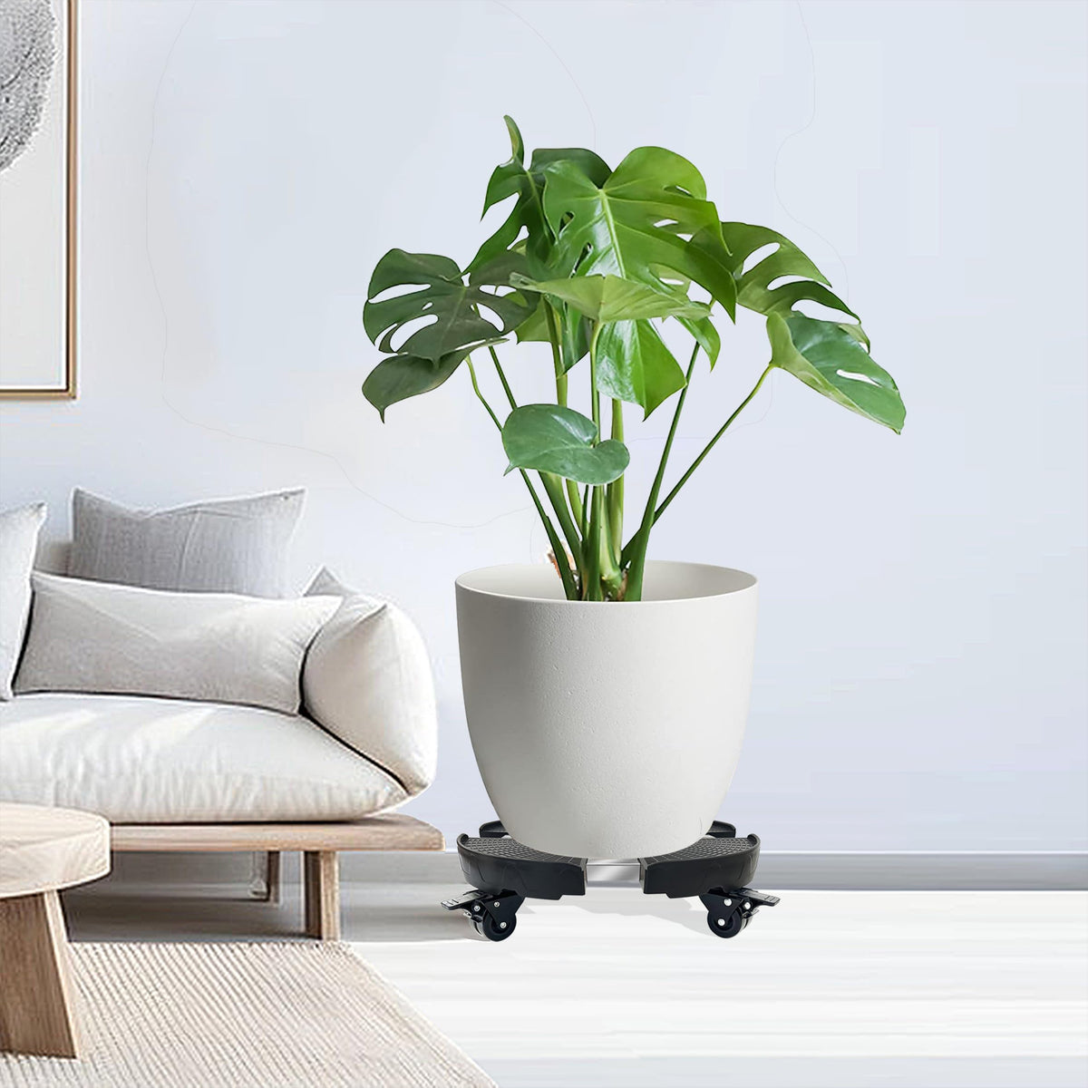 Casimr plant dolly used indoors among living room furniture.