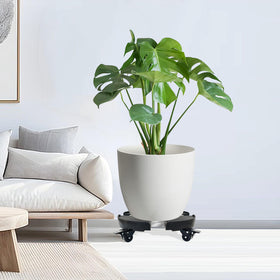 Casimr plant dolly used indoors among living room furniture.
