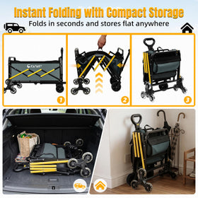 CatArt compact footprint fits car trunks and apartments for easy storage.