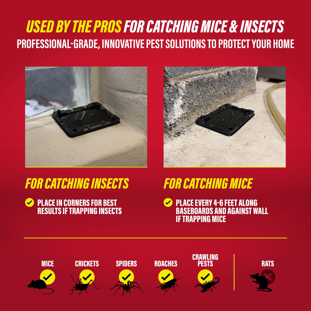 Catchmaster glue trap in a damp basement for year-round protection.
