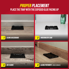 Catchmaster indoor pest control trap suitable for home and garage.