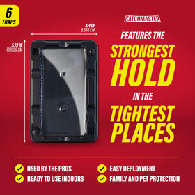 Catchmaster 6 glue trap in damp basement captures pests with pesticide-free design.