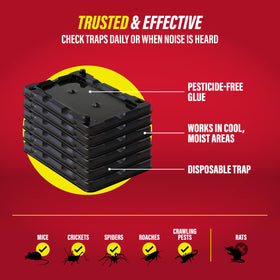 Catchmaster 6 glue trap provides year-round protection without pesticides.