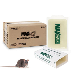 Catchmaster 72MB glueboard, 5x8 inch, ready-to-use sticky trap for mice and insects.