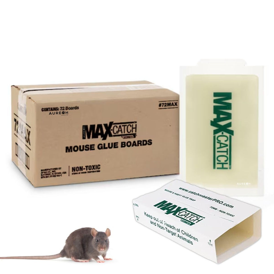 Catchmaster 72MB glueboard, 5x8 inch, ready-to-use sticky trap for mice and insects.